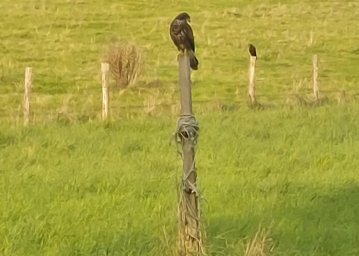 Bed and breakfast Os Heem Wittem